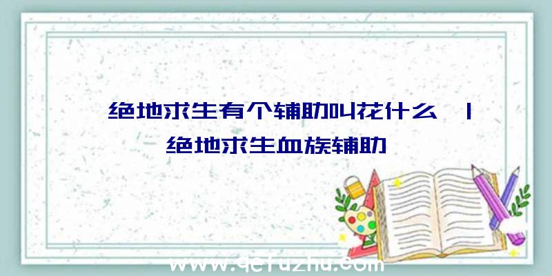 「绝地求生有个辅助叫花什么」|绝地求生血族辅助